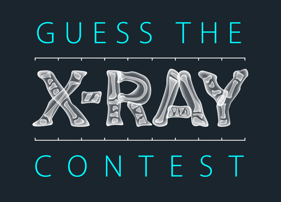 EPIC4 Contests_logo